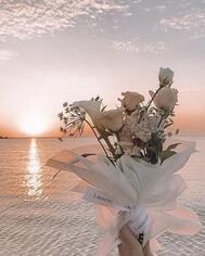 9/9 Y님에게 🕊️💌