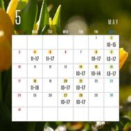 5월 출근 예정